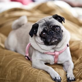 Mira is my best friend husband and everything