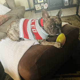 Bruno
