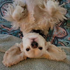 Coco