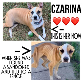 Czarina