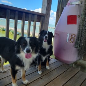 Nova and Luna