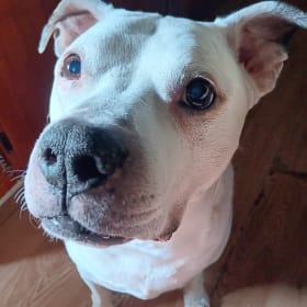 Roscoe