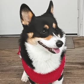 Jax