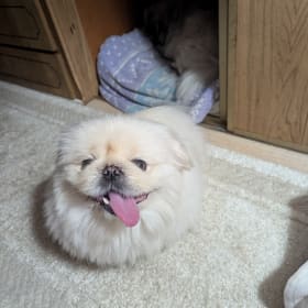 Winnie