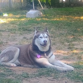 Layla Lynn
