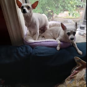 Aruther and Dante