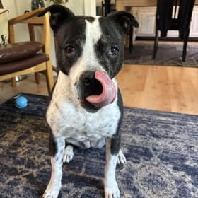 Millie