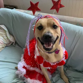 Lulu