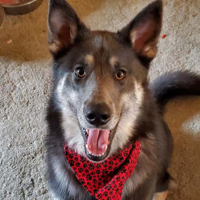 Sirius