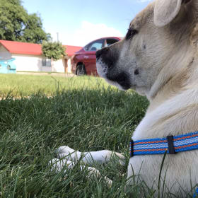 Charlie