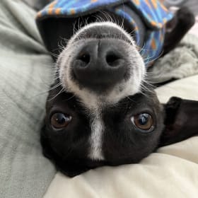 Ella