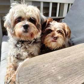 THIS IS JELLY AND HER DAUGHTER PICKLES