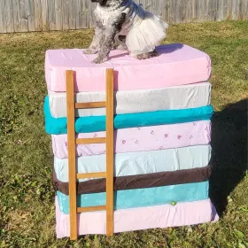 Willow - Princess and the Pea