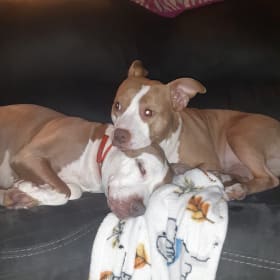 Luna and Nala