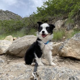 rocky