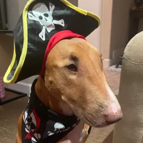 Tyson