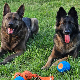 Oso and Nala
