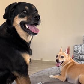 Georgie and Martha