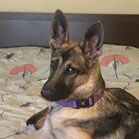 Myra