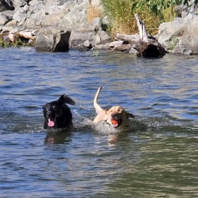 Tuck and Blue