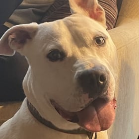 Ruthie