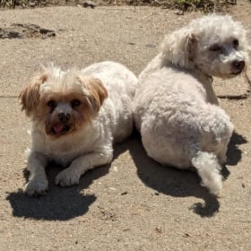 Sammi and Moxie