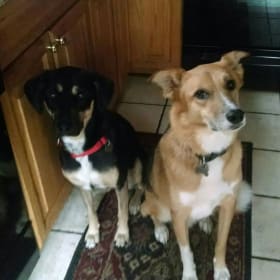 Bella and Ryker