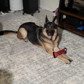 Kona