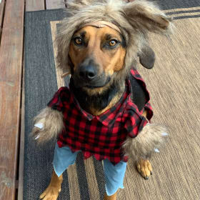 Miss Hailey
