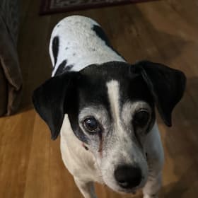 Molly