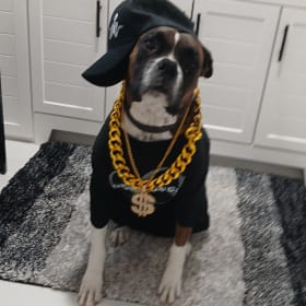 Champ