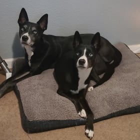 Luke and Leia