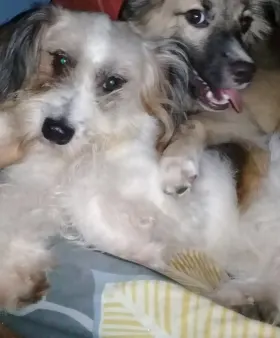 Coco and Vittorio