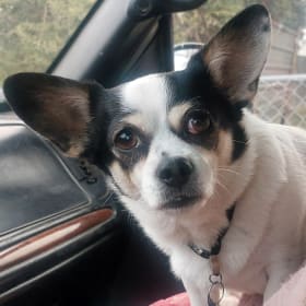 Winnie