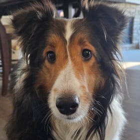 Skye