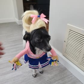 Elli