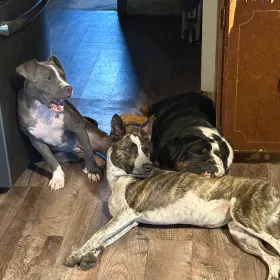 Nova Donut and Reggie