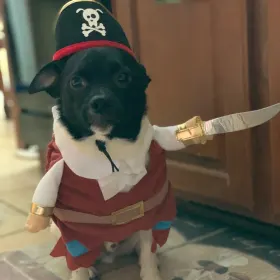 Rascal