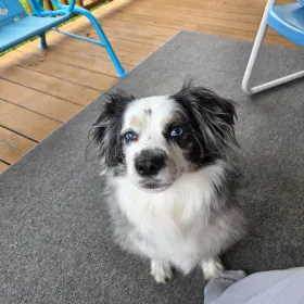 Loki