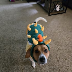 Bowser