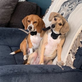 Charlie and Chloe