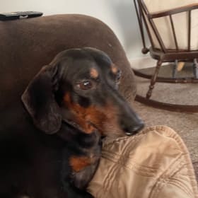 Peanut