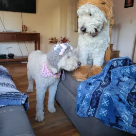 Martha and Louis