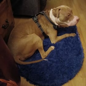 Titus