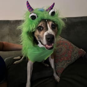 Jax