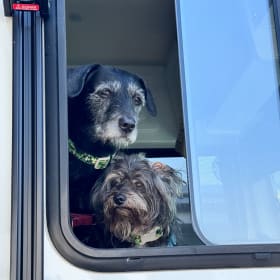 Stryker and Lucky