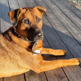 Zeus
