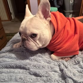 Frankie