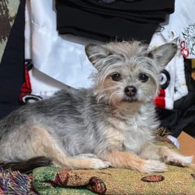Bella