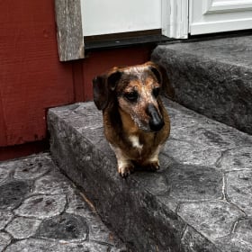 Otis
